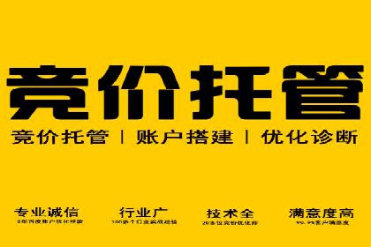 网络营销实战：案例分享竞价推广的秘诀